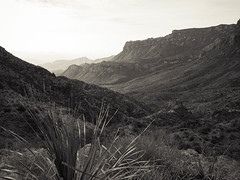 Early morning in Big Bend