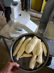 a batch of cassava for slicing...
