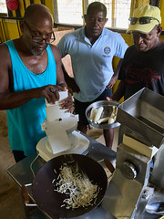 finishing up the slicing of a batch of cassava...