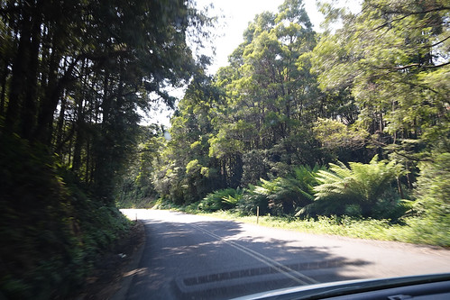 Driving in western Tasmania