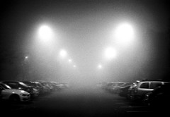 fog in the car park