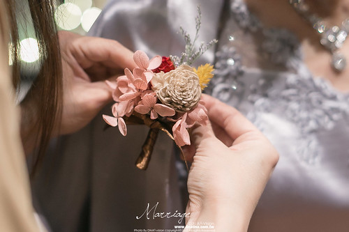《婚攝cindy》Hau&Jung-晶綺盛宴珍珠廳-11