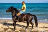 Horses Hammamet Tunisia 2022