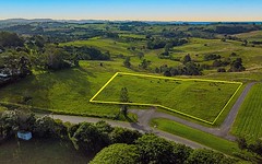 Lot 2, 384 Coopers Shoot Road, Coopers Shoot NSW