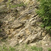 Impure marble (Birch Hill Sequence, Devonian) (Duckering Staircase cliff, Fairbanks, Alaska, USA) 1
