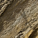 Impure marble (Birch Hill Sequence, Devonian) (Duckering Staircase cliff, Fairbanks, Alaska, USA) 7