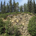 Impure marble (Birch Hill Sequence, Devonian) (Duckering Staircase cliff, Fairbanks, Alaska, USA) 8