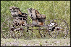 June 25, 2022 - Cool old carriage in South Park. (Bill Hutchinson)