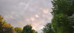 June 25, 2022 - Beautiful clouds at sunset. (David Canfield)