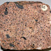 Porphyritic syenite (Wausau Syenite Complex, Mesoproterozoic; Wausau, Wisconsin, USA) 2