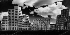 Gehry Buildings Dusseldorf