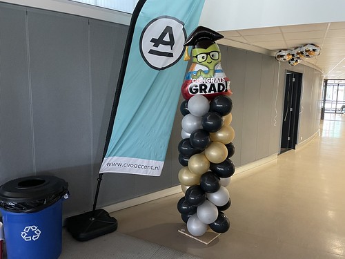 Balloon Column Diploma Gender Reveal Party Accent Praktijkonderwijs Rotterdam