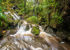 Petites cascades à l'Anse des Cascades (On Explore)