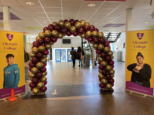 Balloon Arch 6m Diploma Gender Reveal Party Olympia College Rotterdam