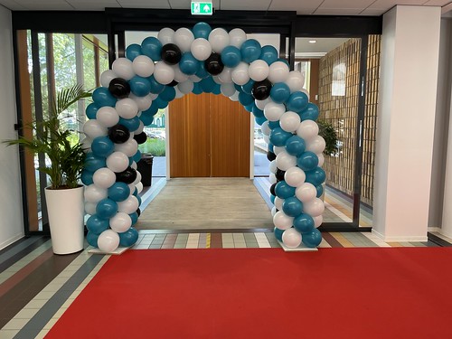 Balloon Arch 6m Diploma Gender Reveal Party Hoornbeeck College Rotterdam