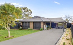 2 Newtimber Circuit, St Clair NSW