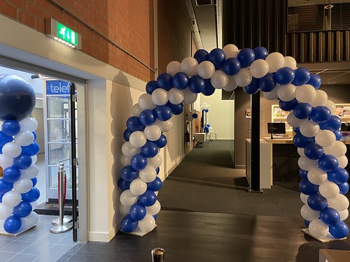 Balloon Arch 6m Diploma Gender Reveal Party Albeda College Zusterhennekeplein Rotterdam