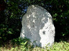 Le menhir de Bignon  Saint-Guyomard - Morbihan - Juillet 2022 - 05