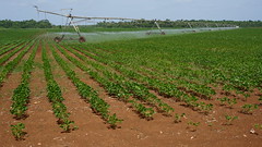 centre-pivot irrigation system... operating on diesel fuel