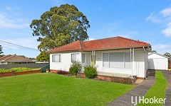 16 Woodland Road, Chester Hill NSW