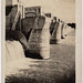 Roller Dam 15, Mississippi River