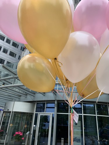 Helium Balloons Marriot Hotel Weena Rotterdam