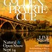 Golden Prairie Cup revised