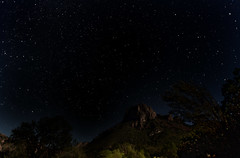 Under the Night Skies of Big Bend National Park