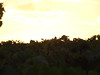 Sunset on the vineyard