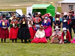 Quinoa Diversity as a Niche Market Alternative. A 2022 Farmers’ Field Day in Huataquita, Puno, Peru