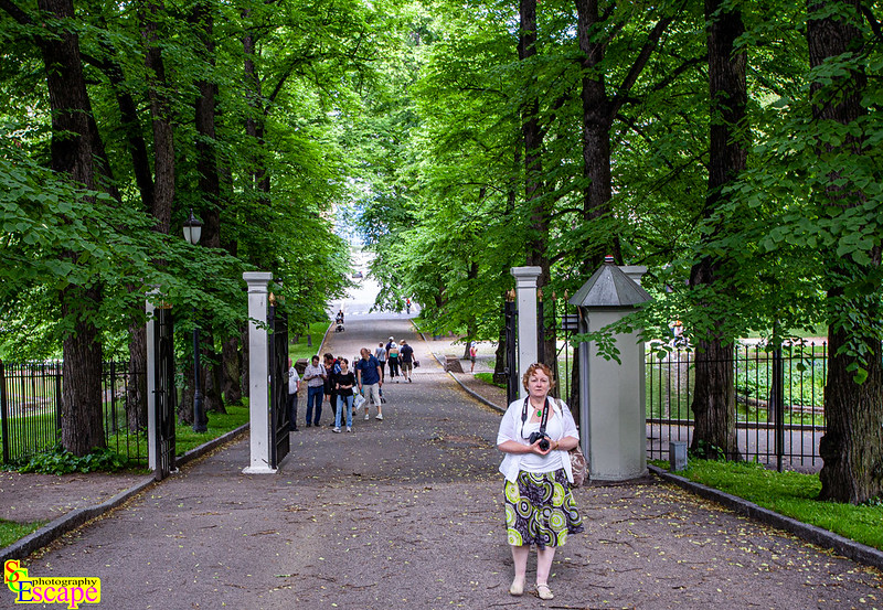 The Royal Palace Gardens - Oslo, Norway. Europe.<br/>© <a href="https://flickr.com/people/63713558@N00" target="_blank" rel="nofollow">63713558@N00</a> (<a href="https://flickr.com/photo.gne?id=52263581782" target="_blank" rel="nofollow">Flickr</a>)