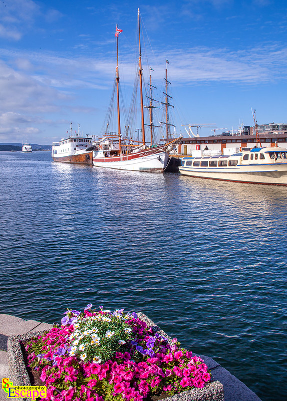 Oslo, Norway. Europe.<br/>© <a href="https://flickr.com/people/63713558@N00" target="_blank" rel="nofollow">63713558@N00</a> (<a href="https://flickr.com/photo.gne?id=52264550286" target="_blank" rel="nofollow">Flickr</a>)