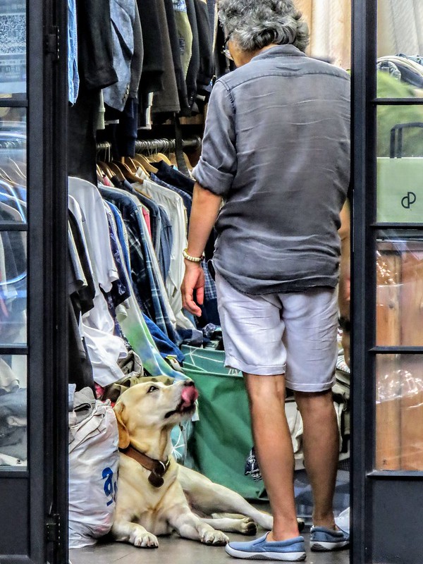 The tailor and his dog<br/>© <a href="https://flickr.com/people/193575245@N03" target="_blank" rel="nofollow">193575245@N03</a> (<a href="https://flickr.com/photo.gne?id=52271486961" target="_blank" rel="nofollow">Flickr</a>)