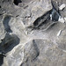Limestone with chert nodule (Columbus Limestone, Middle Devonian; Mt. Tabor, Ohio, USA) 5