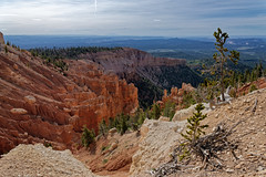 An Electrifying View for My Mind (Bryce Canyon National Park)