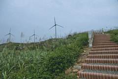 Yongan Port, Wind Power Plants, Temple - Hsinchu, Taiwan (2022)
