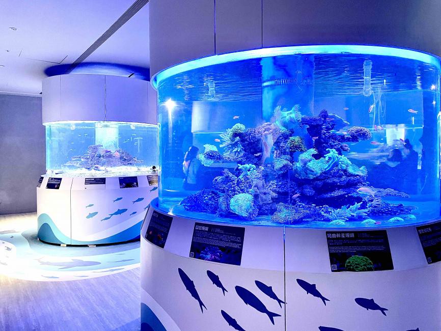 基隆潮境智能海洋館，內有七米高大洋缸還結合高科技，帶來全新多樣化的體驗(圖KKday提供)
