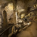 Carlsbad Caverns National Park -  New Mexico