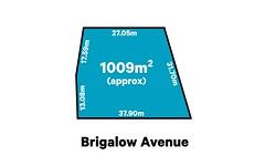 12 Brigalow Avenue, Blackwood SA