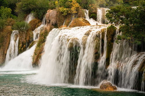 Roški Slap With Duck Bathing on Waterfall, Croatia