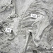 Neohipparion affine (slender three-toed horses) in volcanic tuff (Ash Hollow Formation, Miocene, 11.83 Ma; Ashfall Fossil Beds, Nebraska, USA) 2