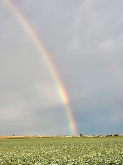 August 2022 - A gorgeous rainbow on the plains. (Diana Mauzy)