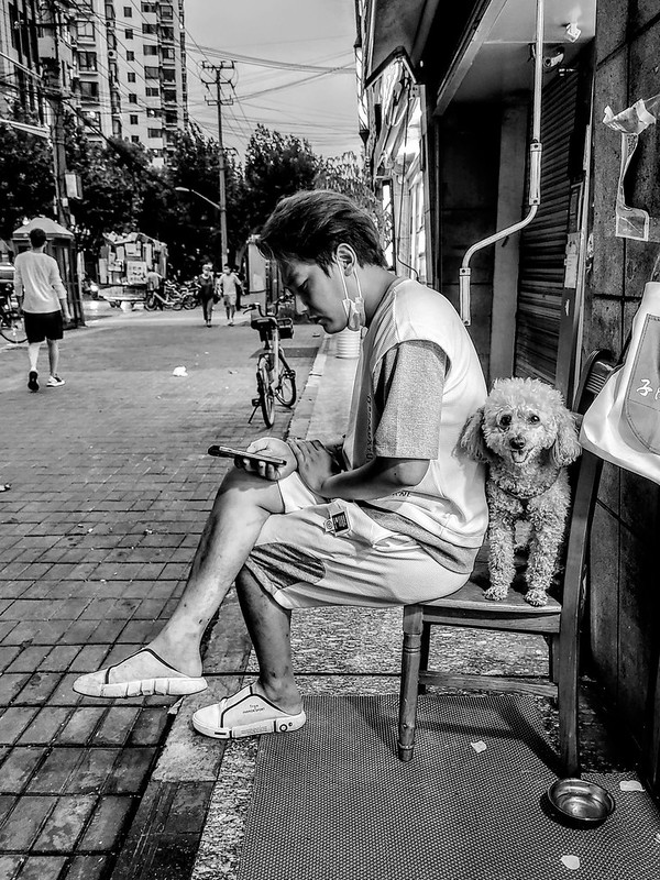 Man and dog<br/>© <a href="https://flickr.com/people/193575245@N03" target="_blank" rel="nofollow">193575245@N03</a> (<a href="https://flickr.com/photo.gne?id=52335623441" target="_blank" rel="nofollow">Flickr</a>)