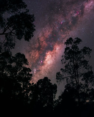 Milky Way at Wellington Dam, Western Australia