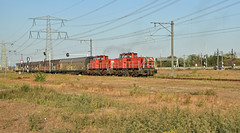 2022-08-12_5506│DB Cargo 6437 en 6422│Maasvlakte Rotterdam (II)