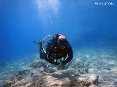 underwater photography • <a style="font-size:0.8em;" href="http://www.flickr.com/photos/150652762@N02/52341829893/" target="_blank">View on Flickr</a>