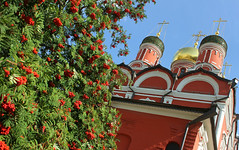 Russia, Nature & Architecture of Holy Moscow, the Rowan berries (Sórbus aucupária) reddened near Znamensky Cathedral (Cathedral of the Mother of God of the Sign), Znamensky Monastery, Varvarka Street, Zaryadye, Tverskoy district. Православнаѧ Црковь.