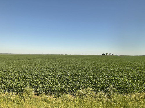 Corn field in Cold Brook Township, Warren County, Illinois, as seen from the California Zephyr