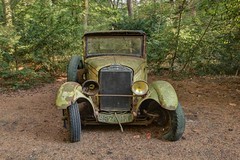 Old Timer in the woods