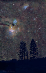Night Magic - Rho Ophiuchi Cloud Complex